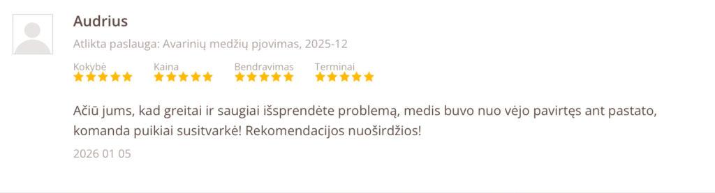Atsiliepimai pagrindinis 3