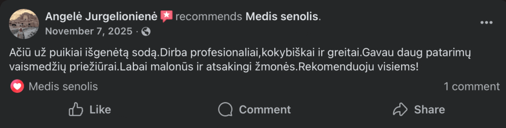 Atsiliepimai pagrindinis 4