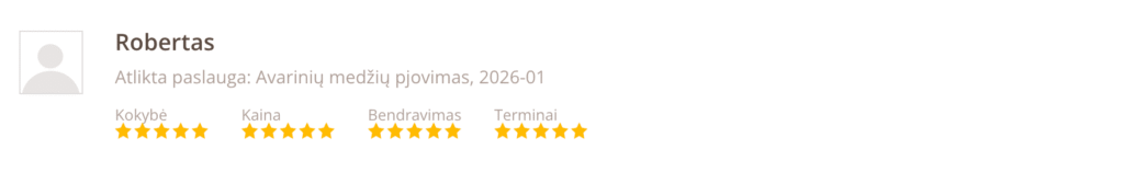 Atsiliepimai pagrindinis 9