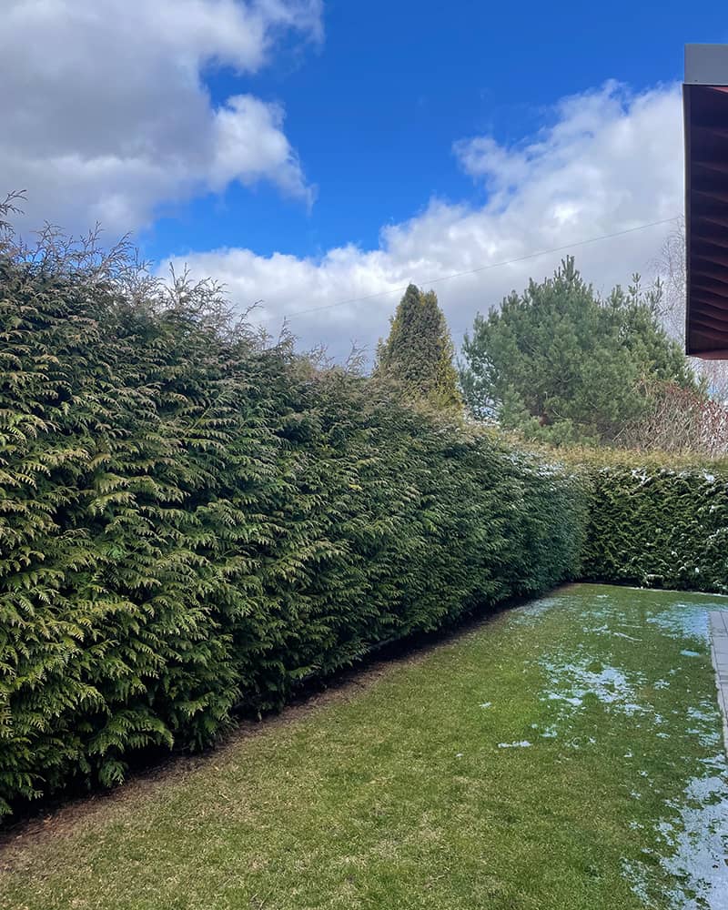 Kada karpyti gyvatvorę