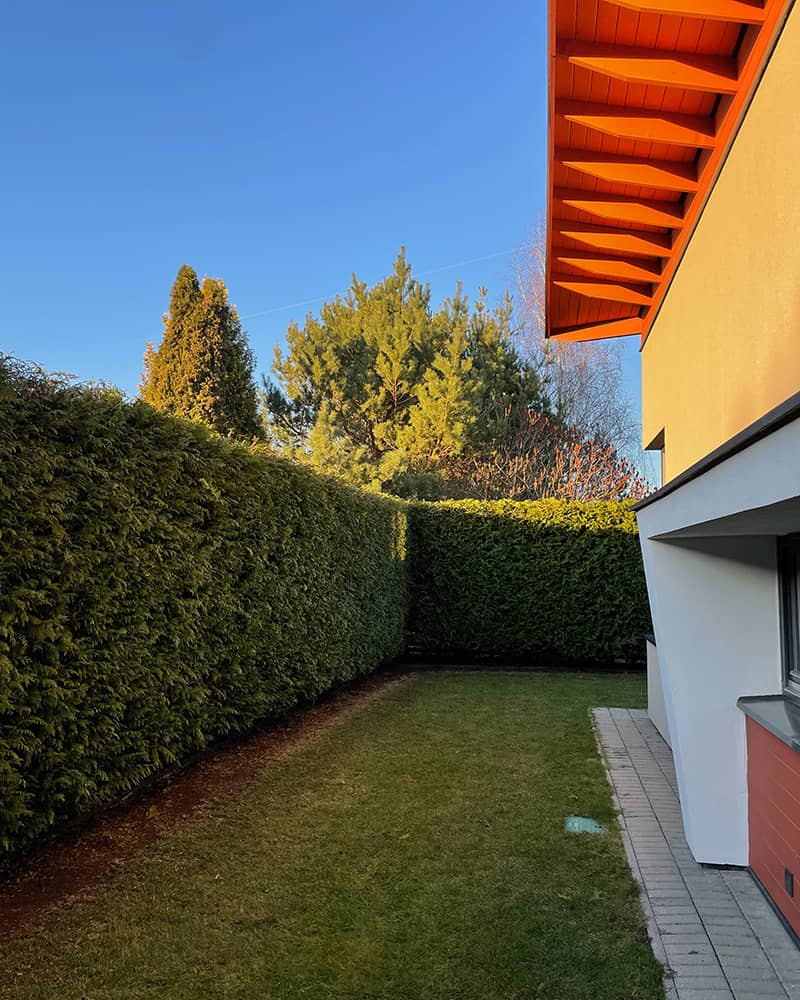 Kodel rinktis medis senolis