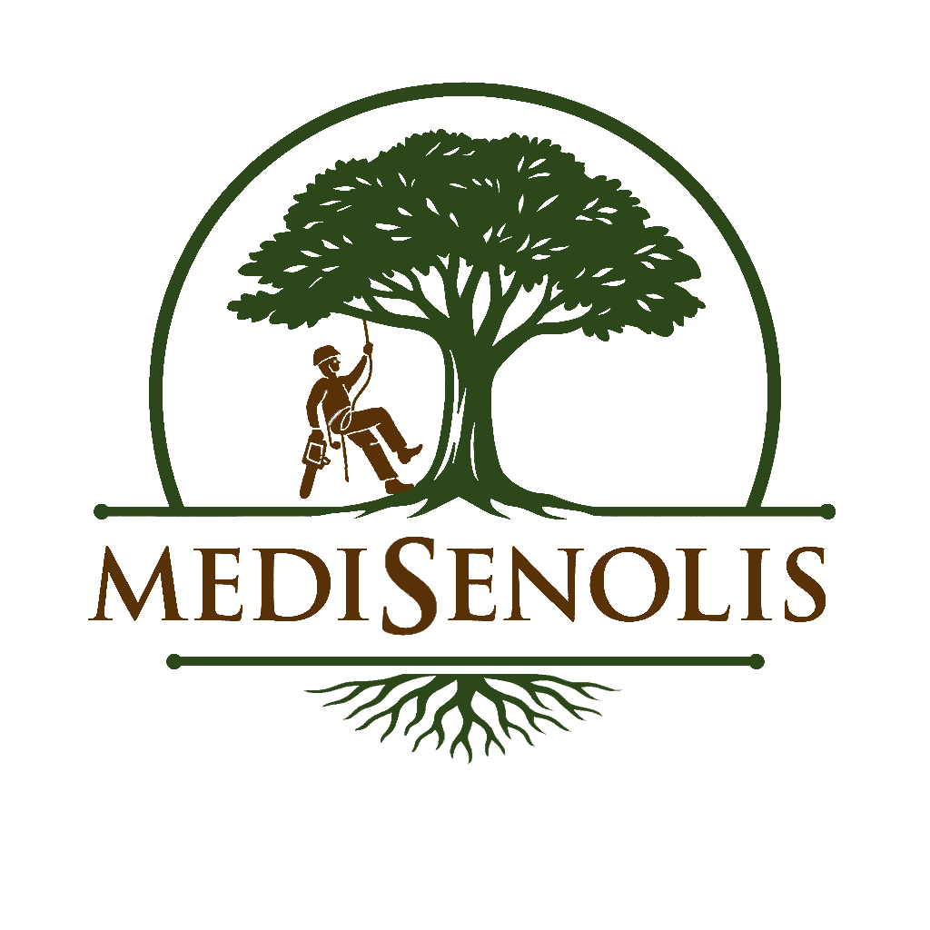 Medis senolis logo
