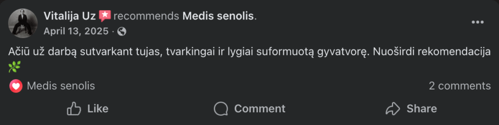 Tujų karpymas atsiliepimas 4